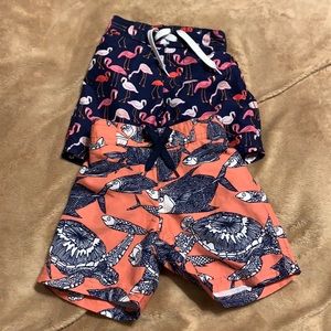 2 Piece Janie and Jack Swim Trunk Bundle 6-12m